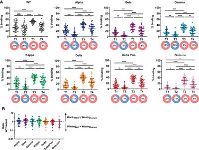 Waning of specific antibodies against Delta and Omicron variants five months after a third dose of BNT162b2 SARS-CoV-2 vaccine in elderly individuals